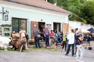 Folkové prázdniny, foto Yvetta Stránská_4