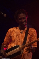 BASSEKOU KOUYATE & NGONI BA (Bali)