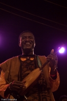 BASSEKOU KOUYATE & NGONI BA (Bali)